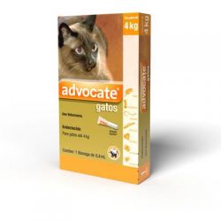 Antipulgas para gatos até 4kg 0,4ml Advocate  